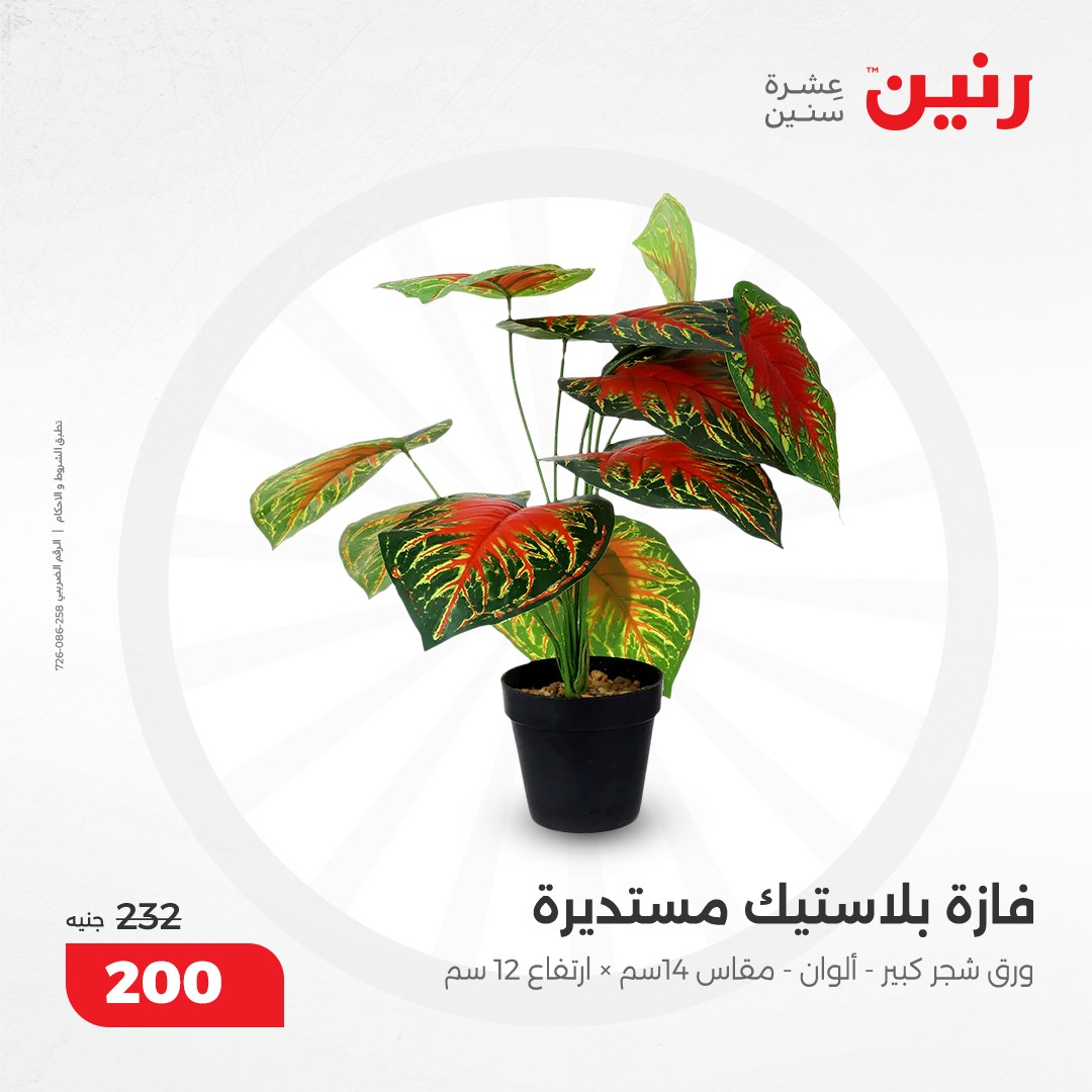 raneen offers from 5dec to 7dec 2024 عروض رنين من 5 ديسمبر حتى 7 ديسمبر 2024 صفحة رقم 49